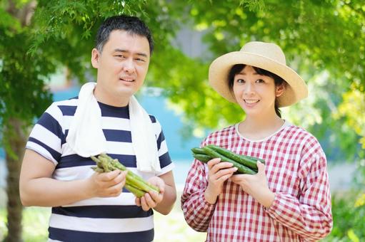 都会の喧騒を忘れる四国の田舎暮らし